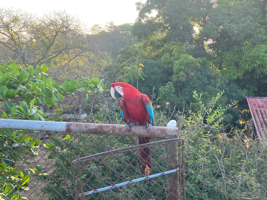 CHUCHINI Amazon Wildlife Reserve & Eco Lodge-Trinidad必去景点