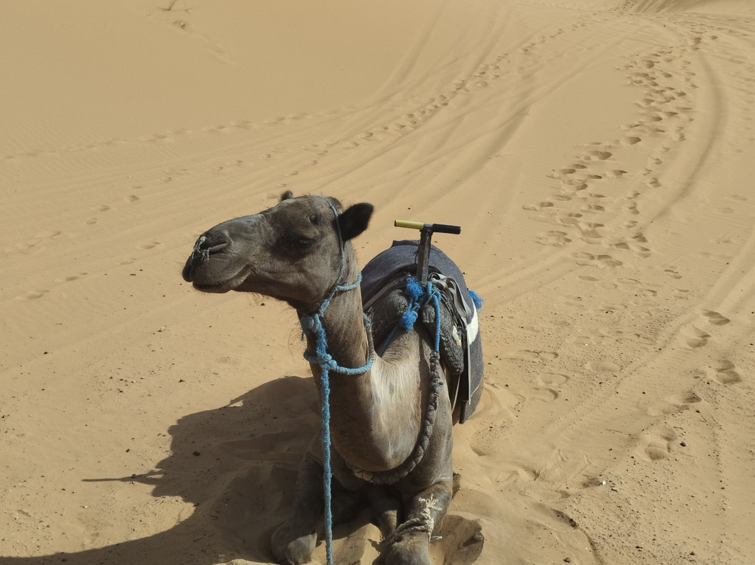 Nomades aventure guide-Boumalne Dades必去景点