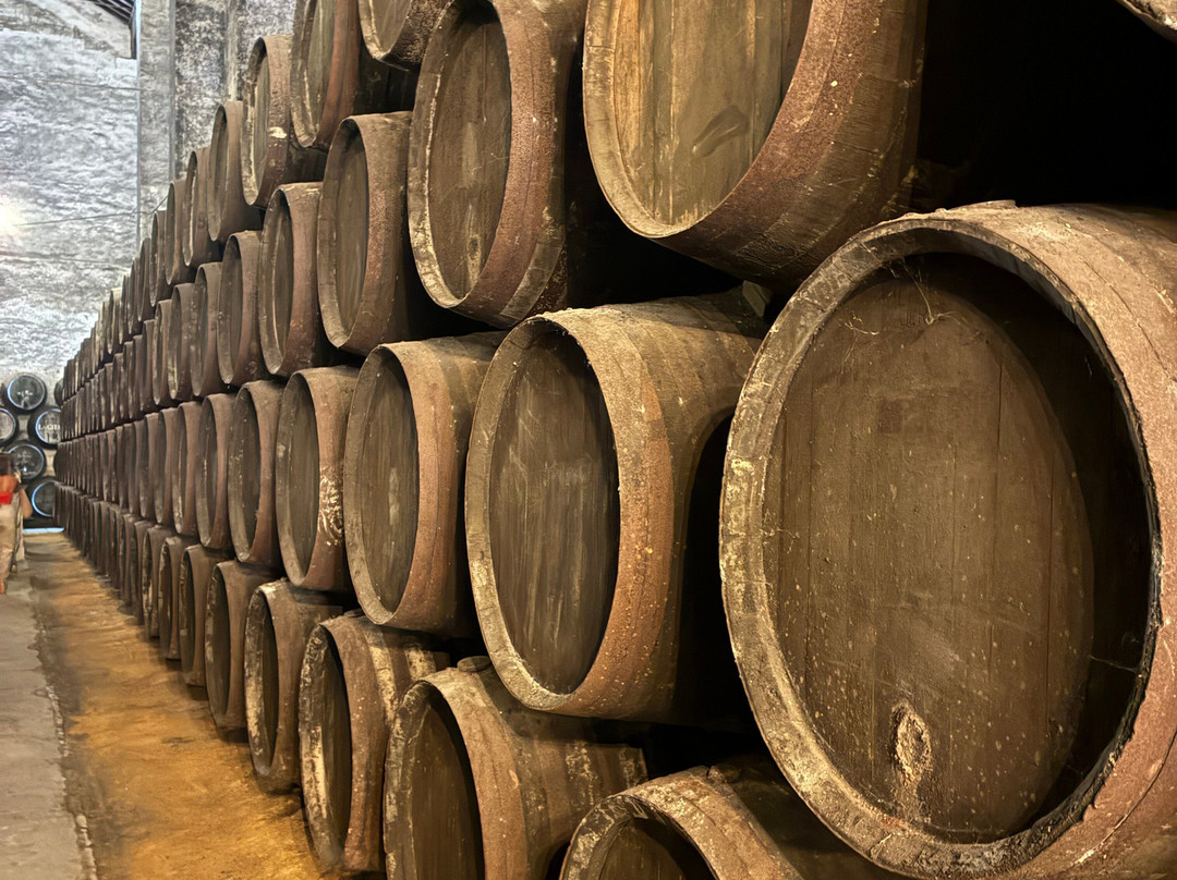 Bodegas Hidalgo La Gitana-Sanlucar de Barrameda必去景点