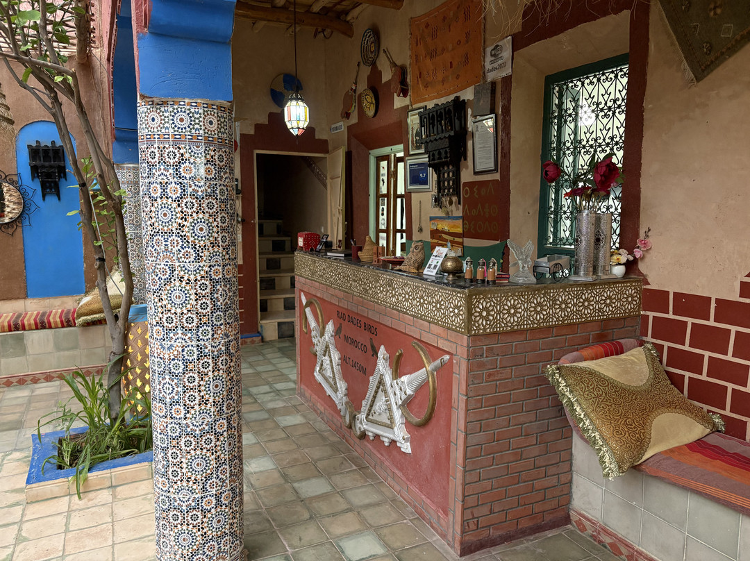Riad Dades Birds主图