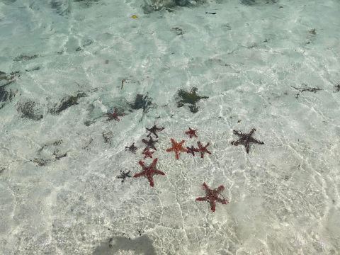 肯德瓦岩滩酒店-旅行者