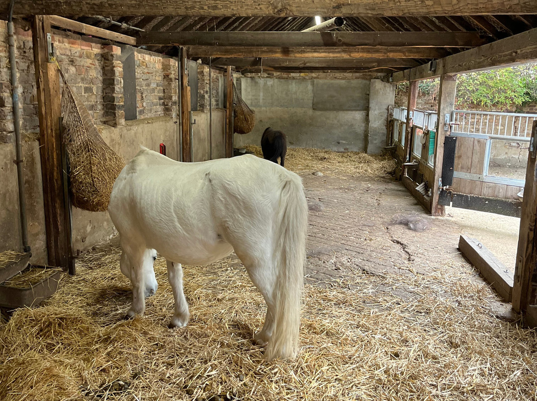 Lee Valley Animal Adventure Park-沃尔萨姆阿比必去景点