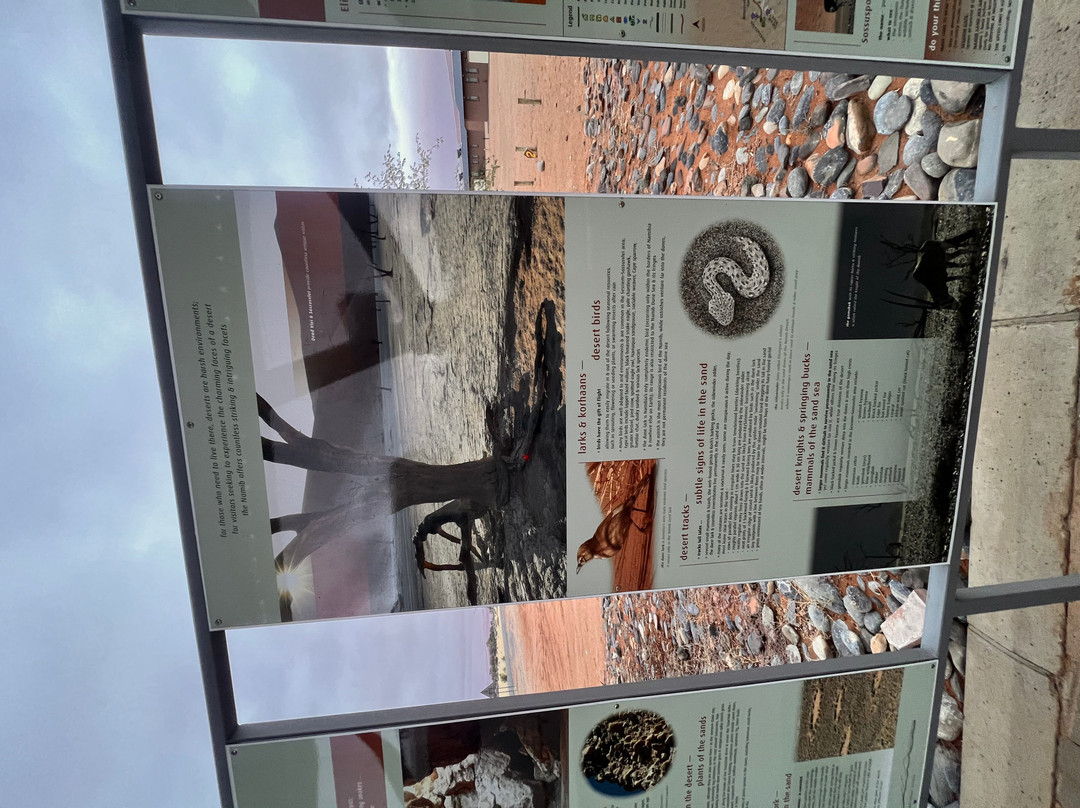 Namib-Naukluft National Park-赛斯瑞必去景点