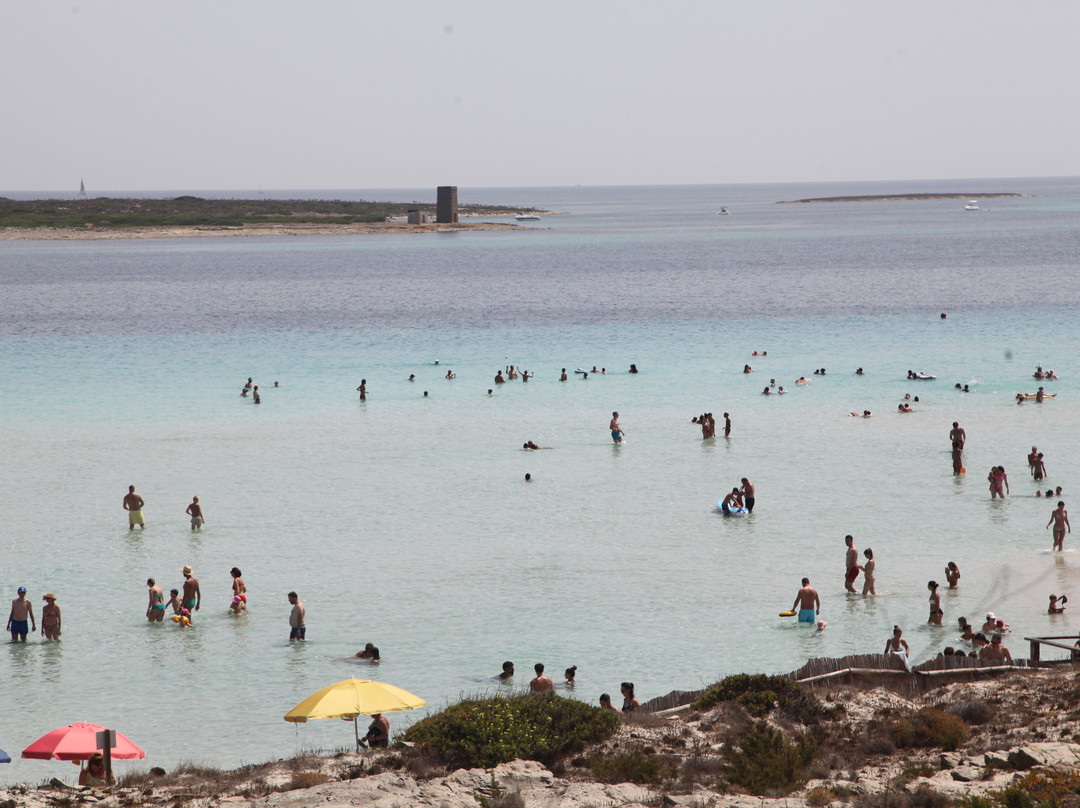 La Pelosa Beach-斯廷蒂诺必去景点
