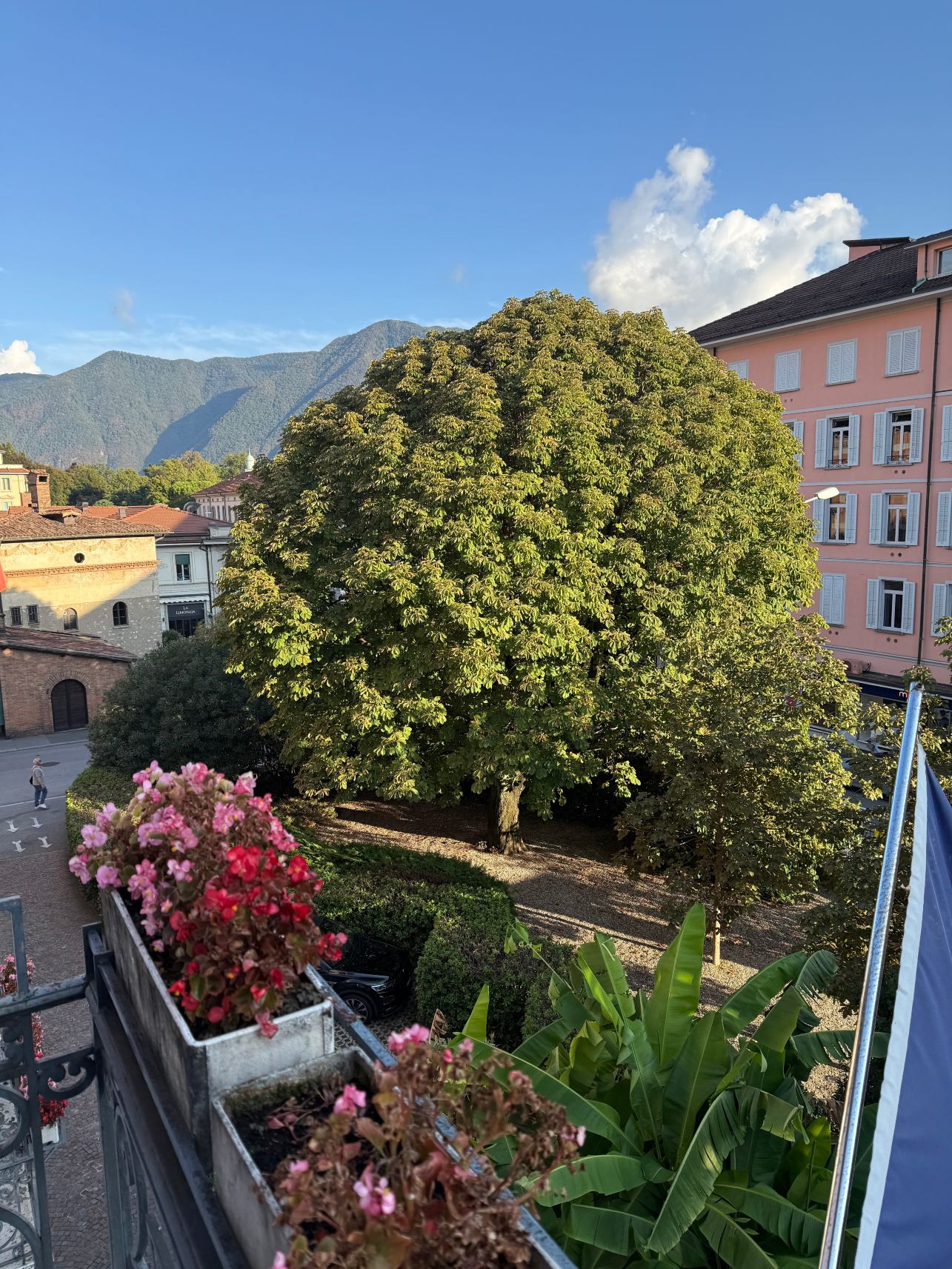 Hotel Zurigo Downtown-旅行者