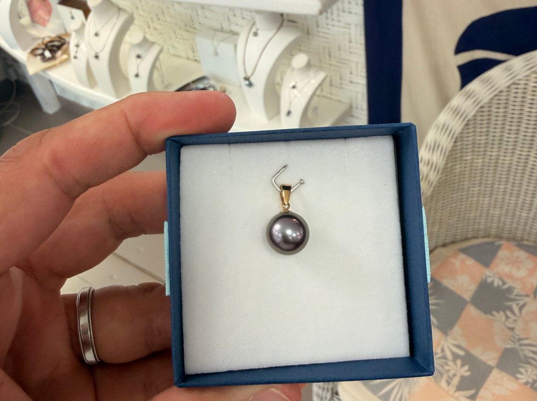 Pearlescence Tahitian Pearls and Mabe-莫雷阿岛必去景点