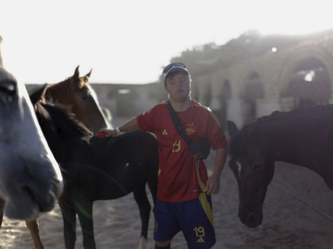 Horse Safari Hurghada-赫尔格达必去景点