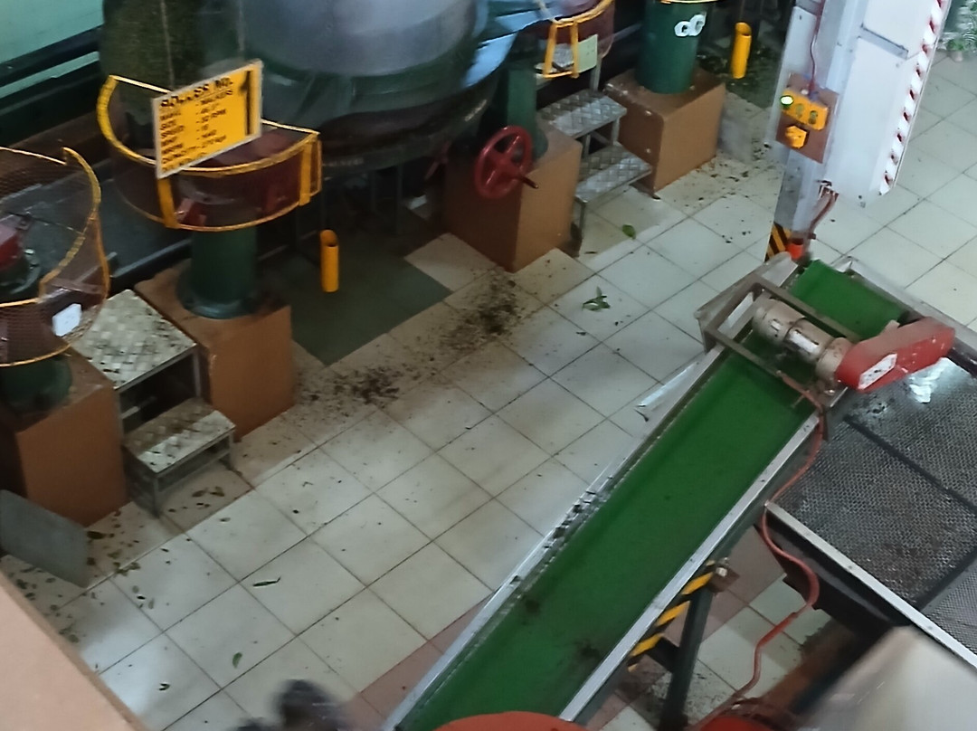 Orange Field Tea Factory-Gampola必去景点