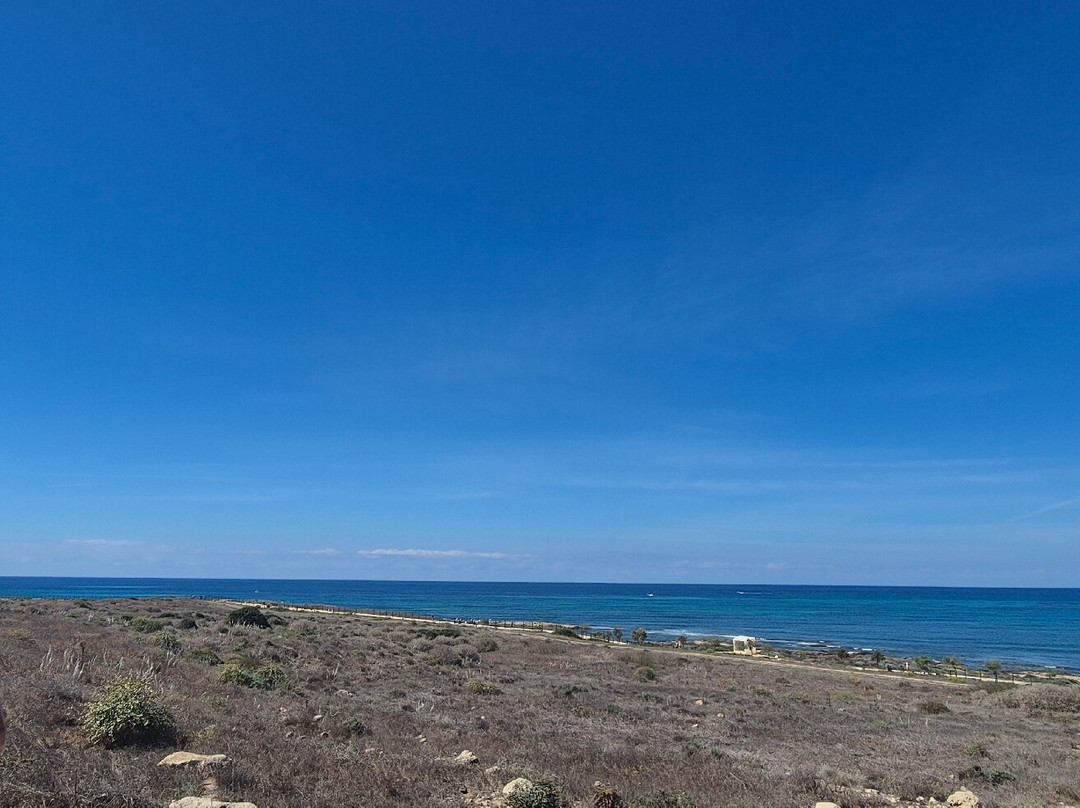 Kato Paphos Archaeological Park-帕福斯必去景点