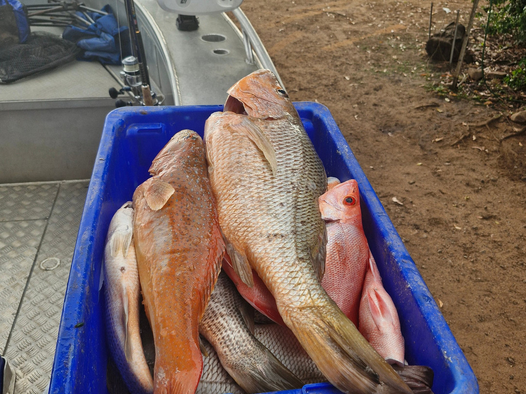 Dundee Beach Fishing Charters-Dundee Beach必去景点