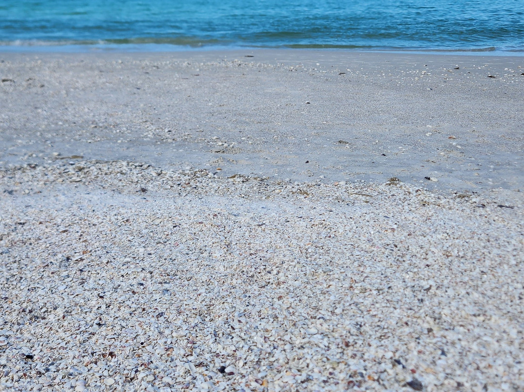 South Marco Beach-马可岛必去景点