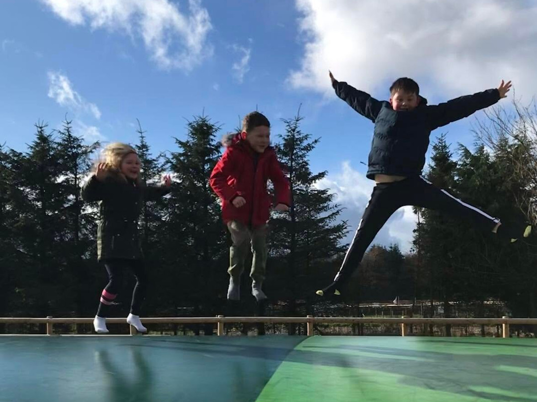 Matlock Farm Park-马特洛克必去景点