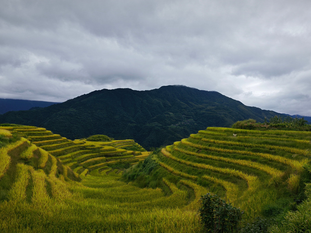 Guilin PrivateTours-桂林市必去景点