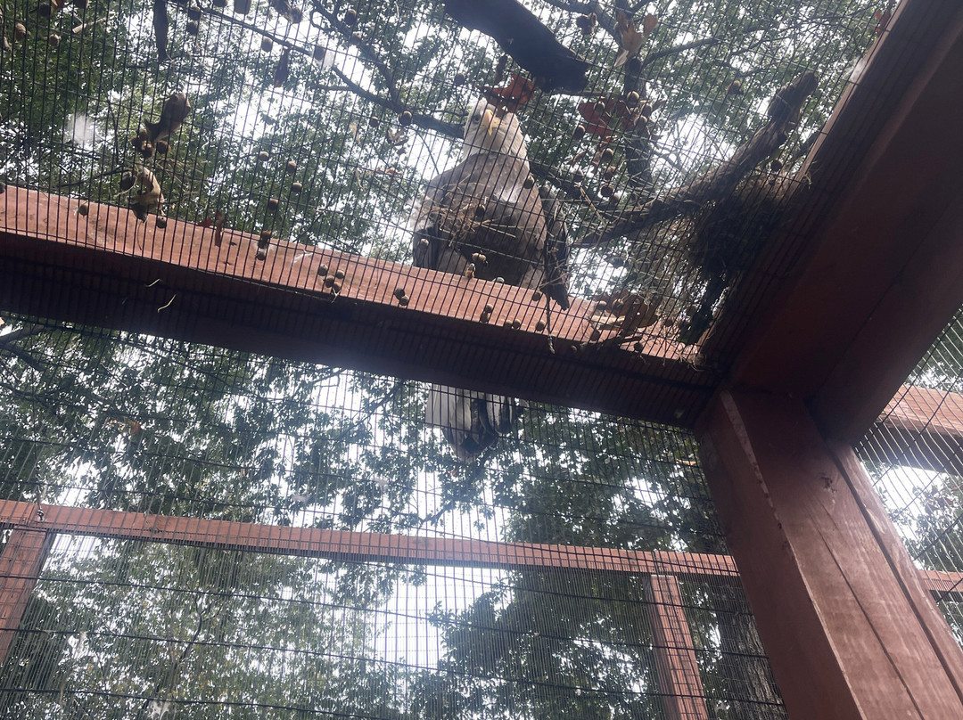 World Bird Sanctuary-Valley Park必去景点