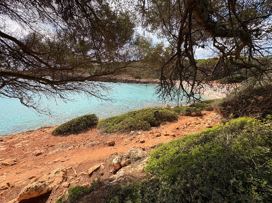 Cala Varques-Calas de Majorca必去景点
