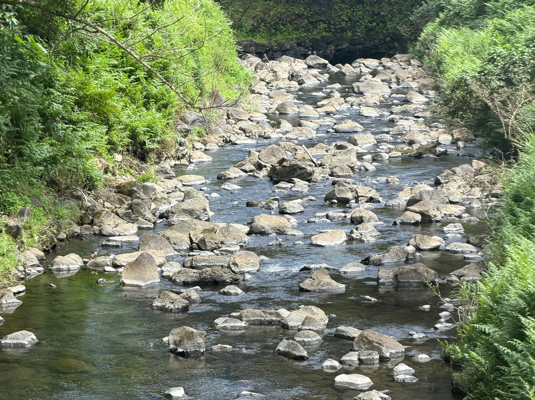 Road to Hana Tours-哈纳必去景点