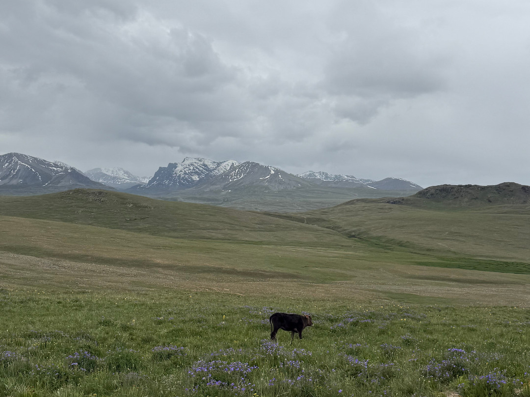 Deosai National Park-Skardu必去景点