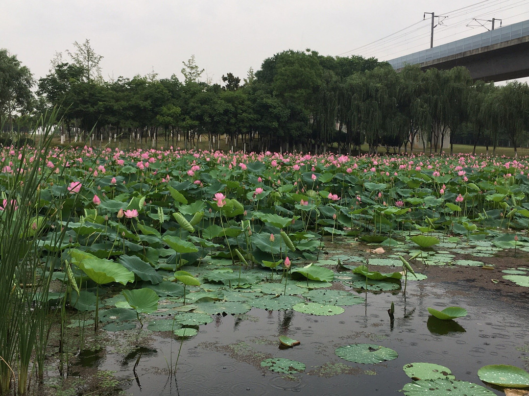 镇江锦绣皇宫大酒店主图