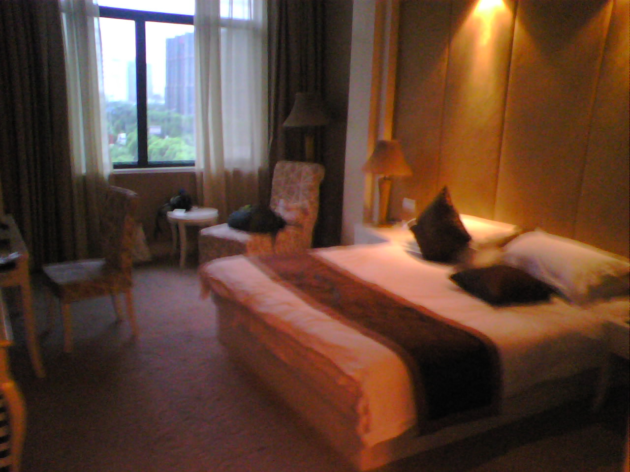 金轩大酒店-客卧