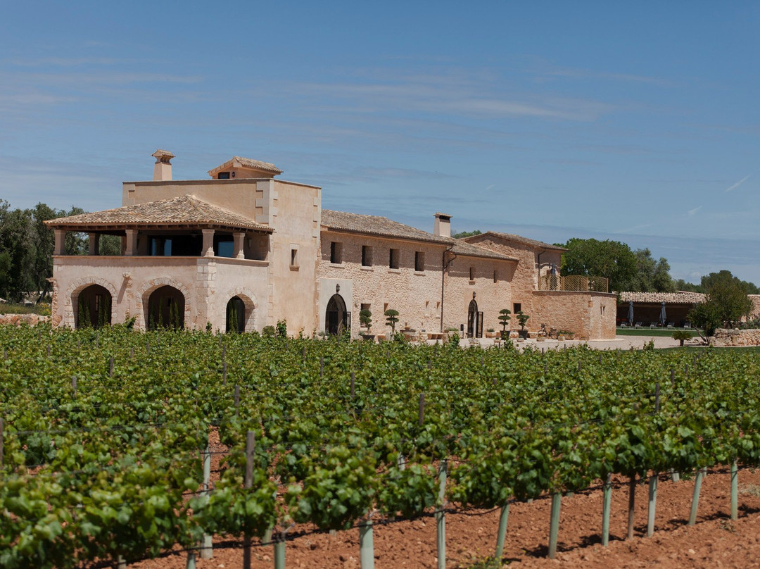 Badia Gran酒店住宿-Finca Gomera