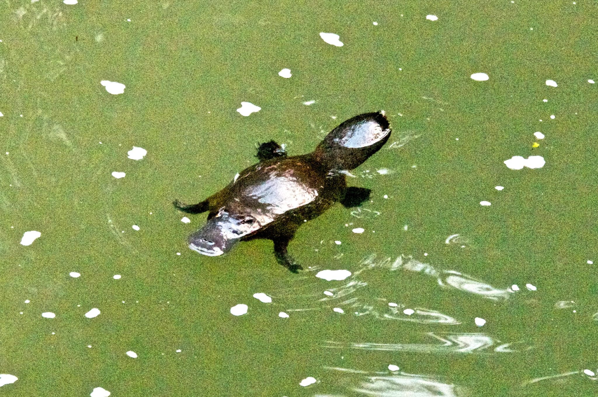 Broken River Mountain Resort-官方