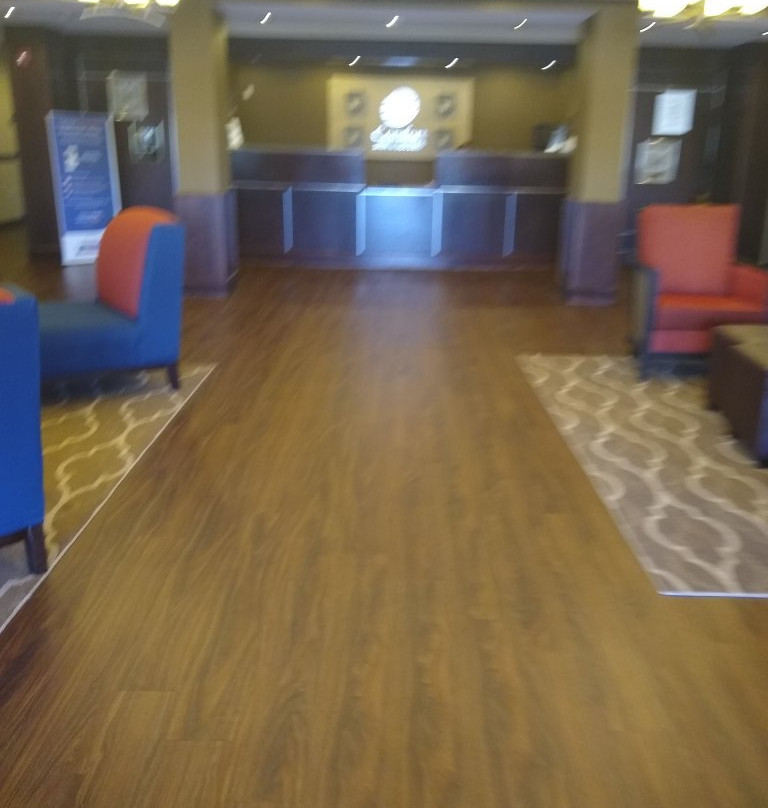 Comfort Inn & Suites Russellville I-40主图