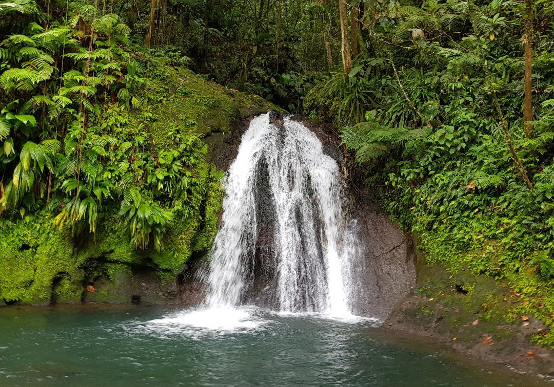 Basse-Terre Island旅游景点-Cascade aux Ecrevisses