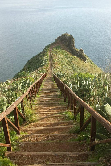 Madeira Island Tours