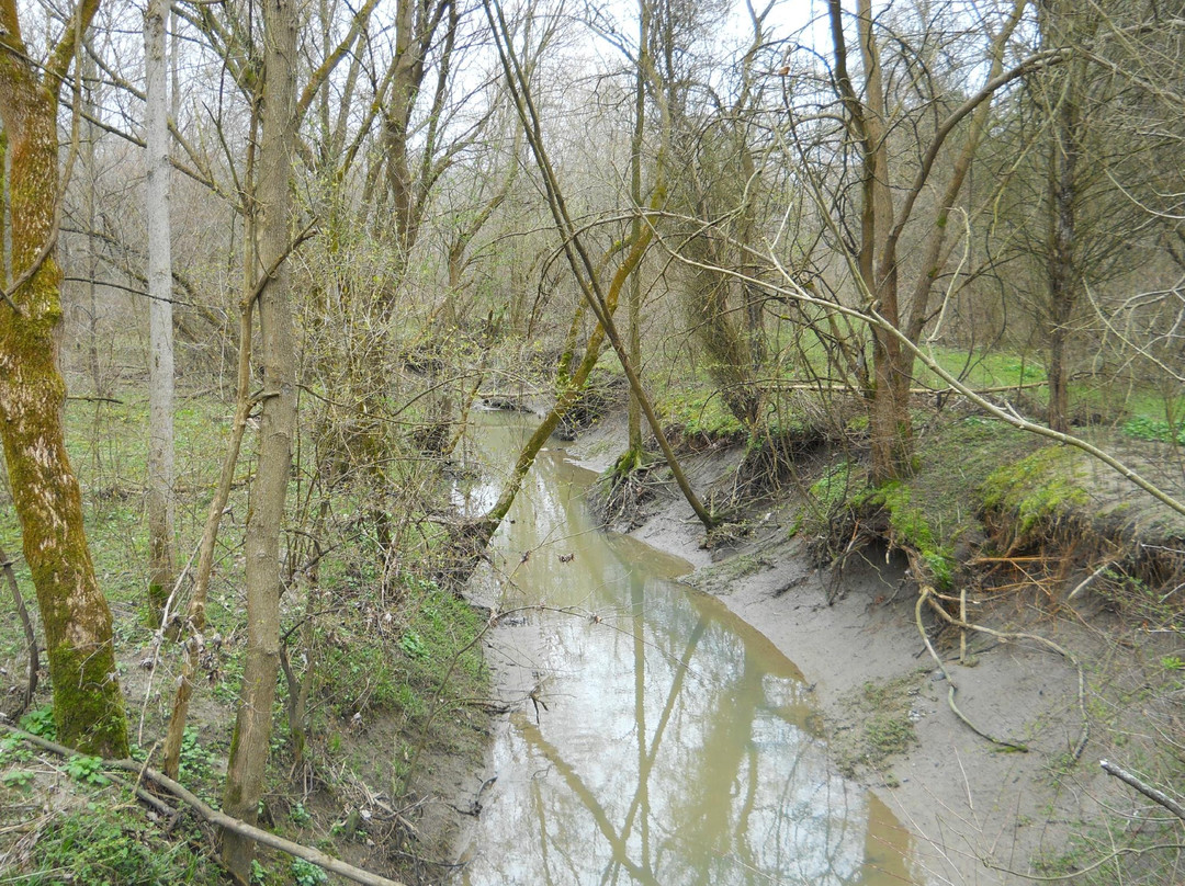 Two Creeks Conservation Area景点图片