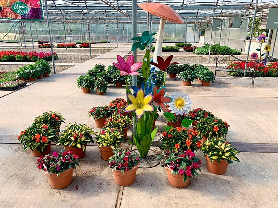 All Seasons Garden Center景点图片