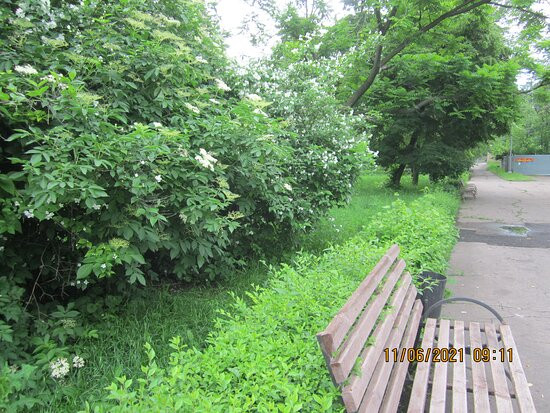 Lenin Square-Makiivka必去景点
