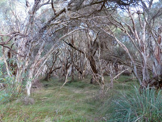 Rockingham Lakes Regional Park景点图片