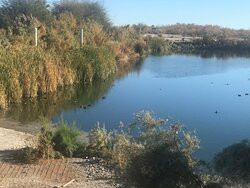 Salton Sea State Recreation Area-Mecca必去景点