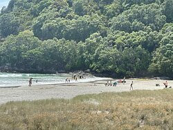Matarangi Beach景点图片