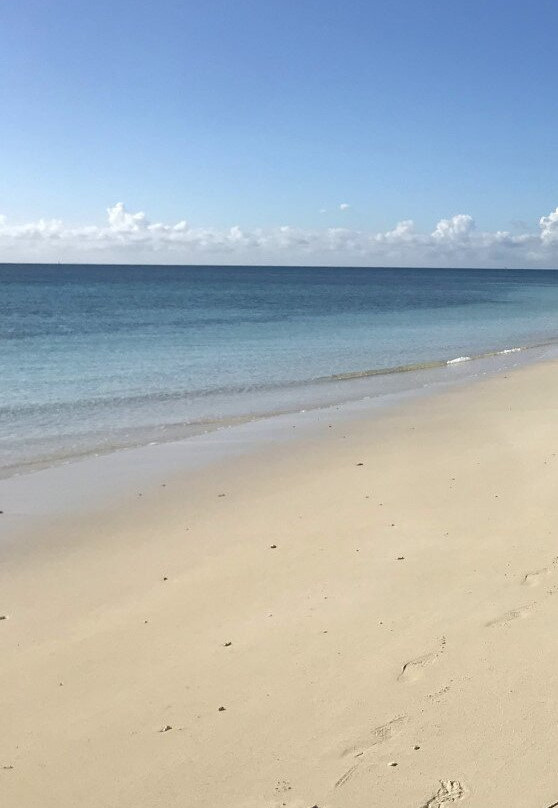 Silver Point Reef-弗里波特必去景点