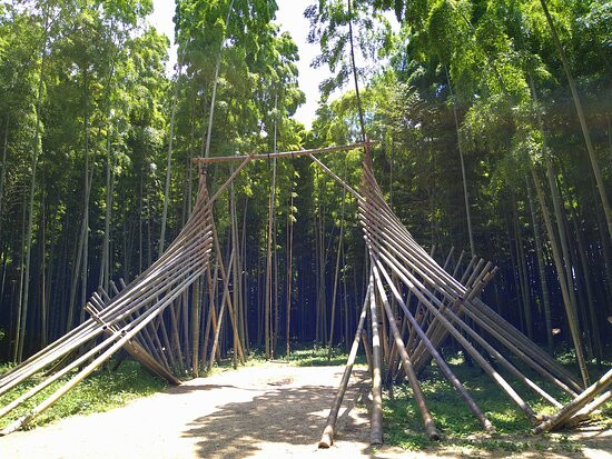 Four Seasons Bamboo Forest Wakayama Farm-宇都宫市必去景点