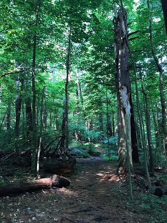 Weir Hill-北安多佛必去景点