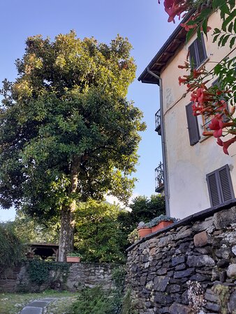 Le Camelie B&B-官方