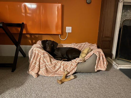 罗克希博格酒店&高尔夫球场主图