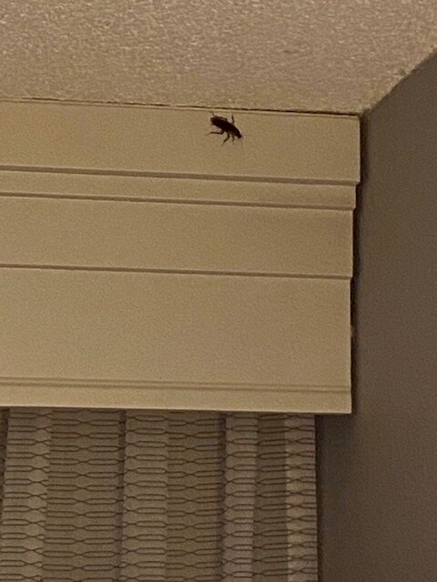 Courtyard by Marriott Montgomery Prattville-客卧