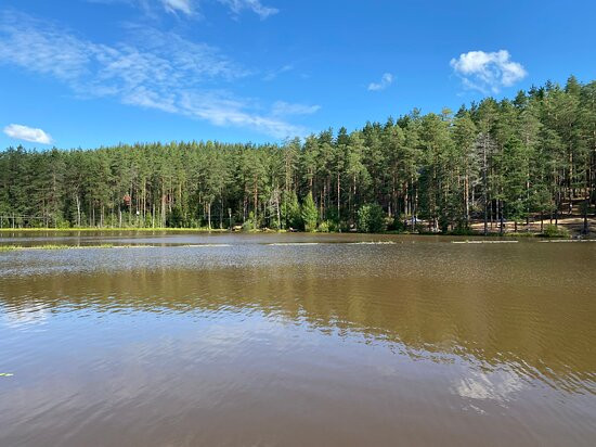 Greenvald  Park Scandinavia景点图片