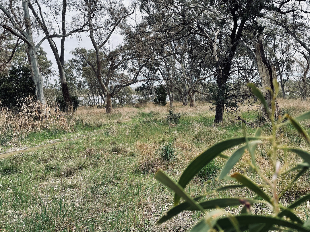 Barkers Creek Reservoir景点图片