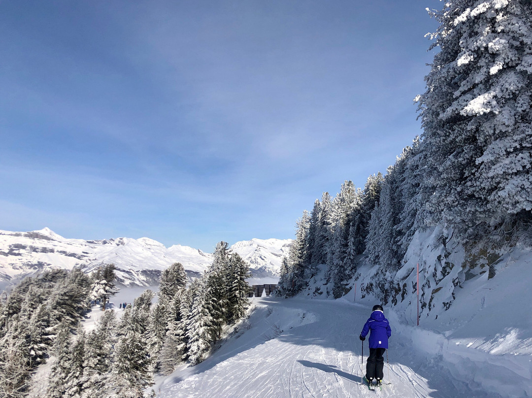Montagne Magique Ski School Nendaz