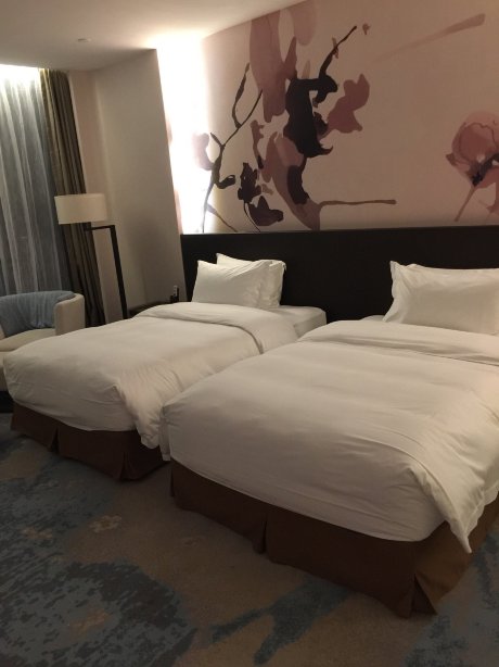 龙岩佰翔京华酒店-客卧