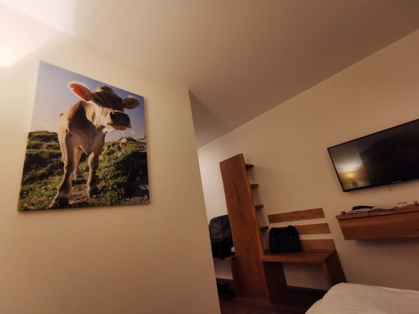 Hotel Wildschütz Basic主图