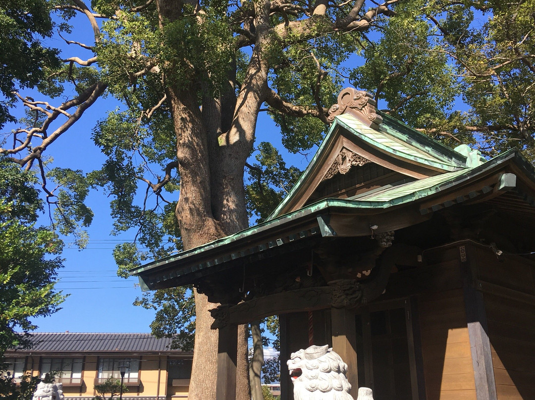 Hachimangu Shrine