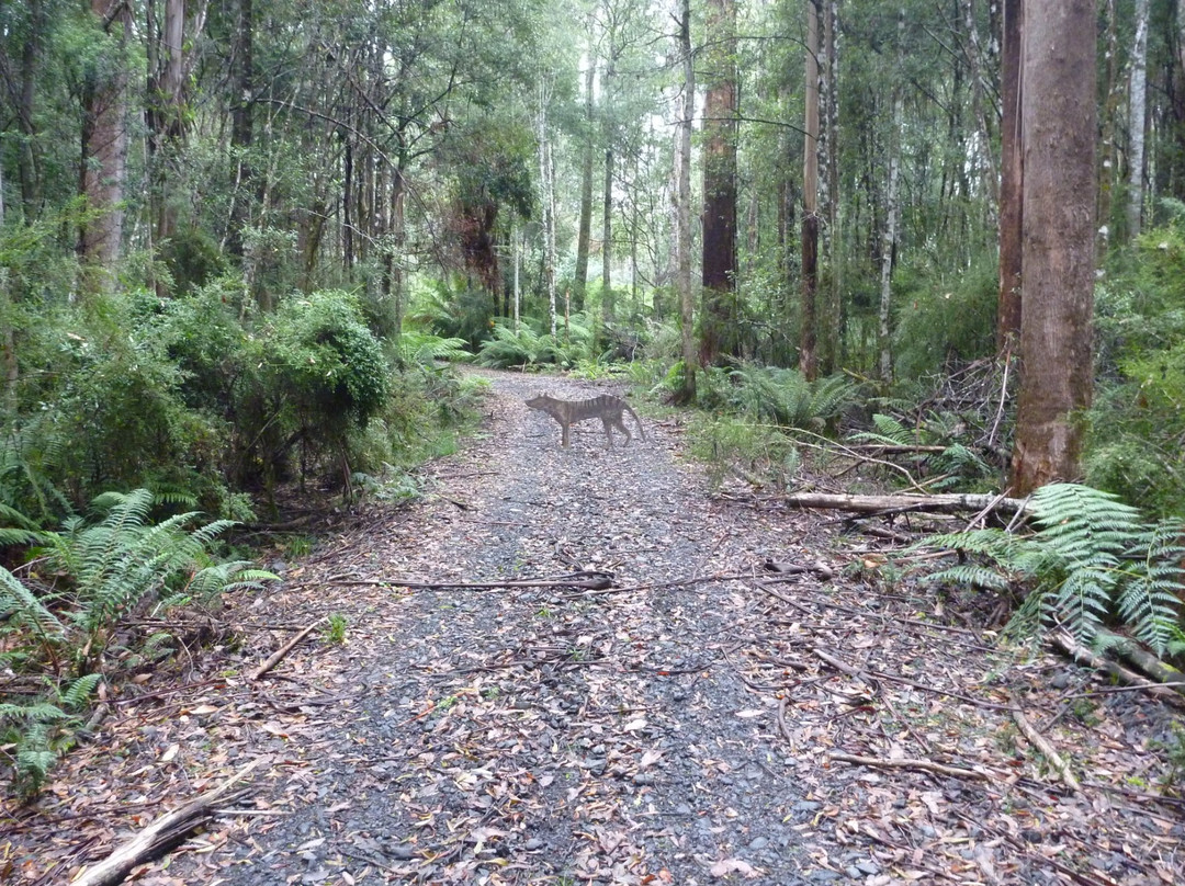 Styx Valley-Maydena必去景点