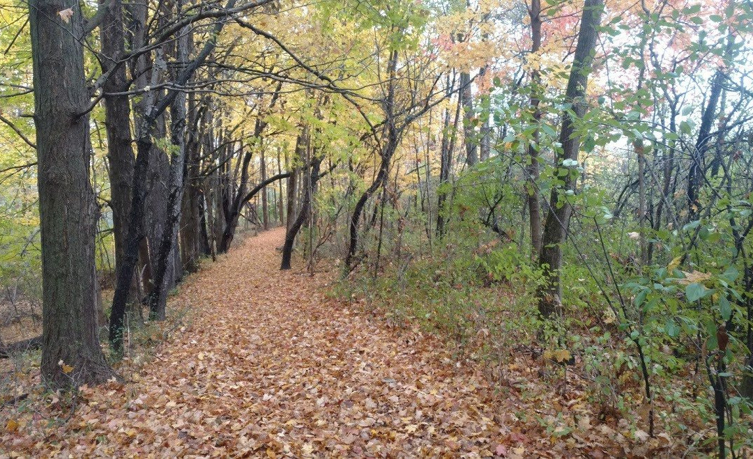 Ashland旅游攻略图片