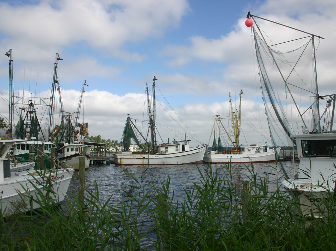 Sneads Ferry旅游攻略图片