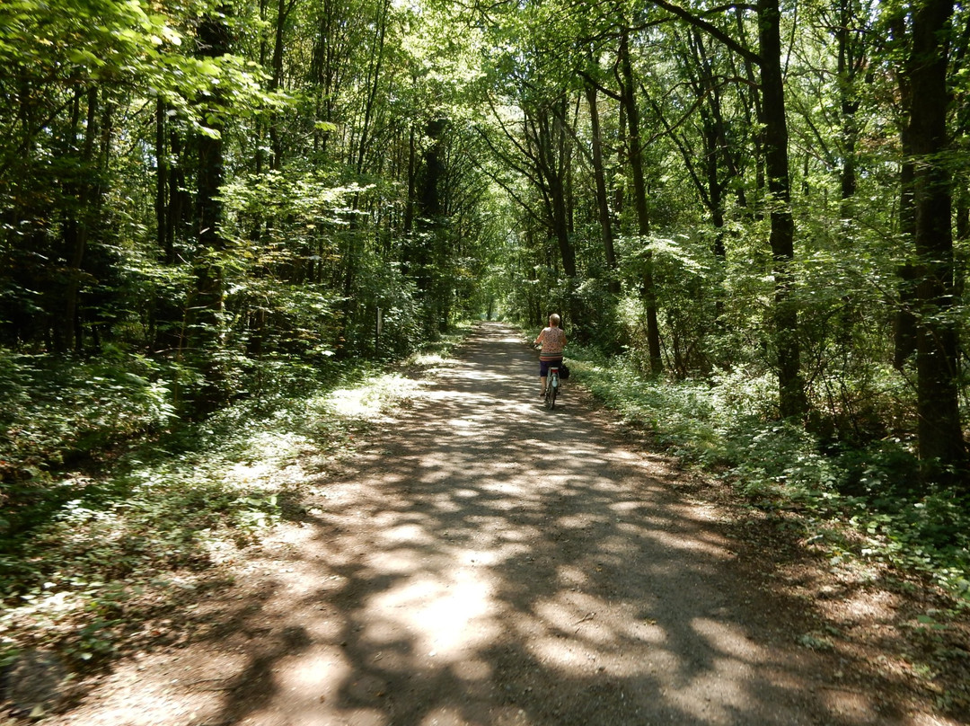 Drongengoed Bicycle Trail景点图片